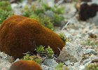 TierraDelFuego