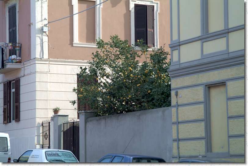 Następne zdjęcie