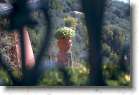 DSCF0413 * 3024 x 2016 * (1.31MB)