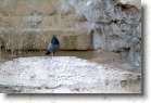 DSCF0149 * 3024 x 2016 * (1.78MB)